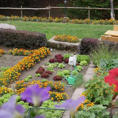 Apartman Eulennest Wolfach